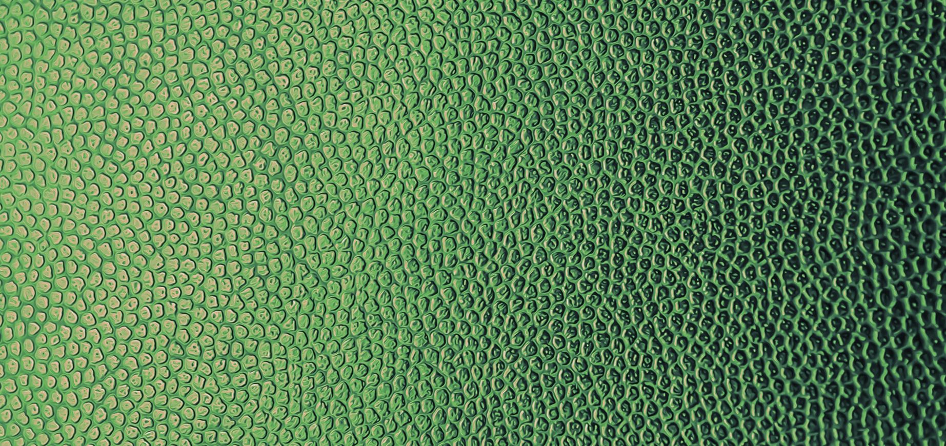 Vegan leather, changing definitions of Sustainability NexantECA